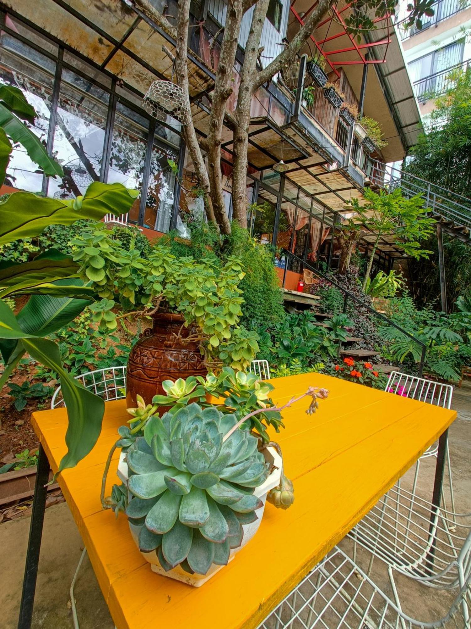 Lalaland Homestay Dalat Bilik gambar