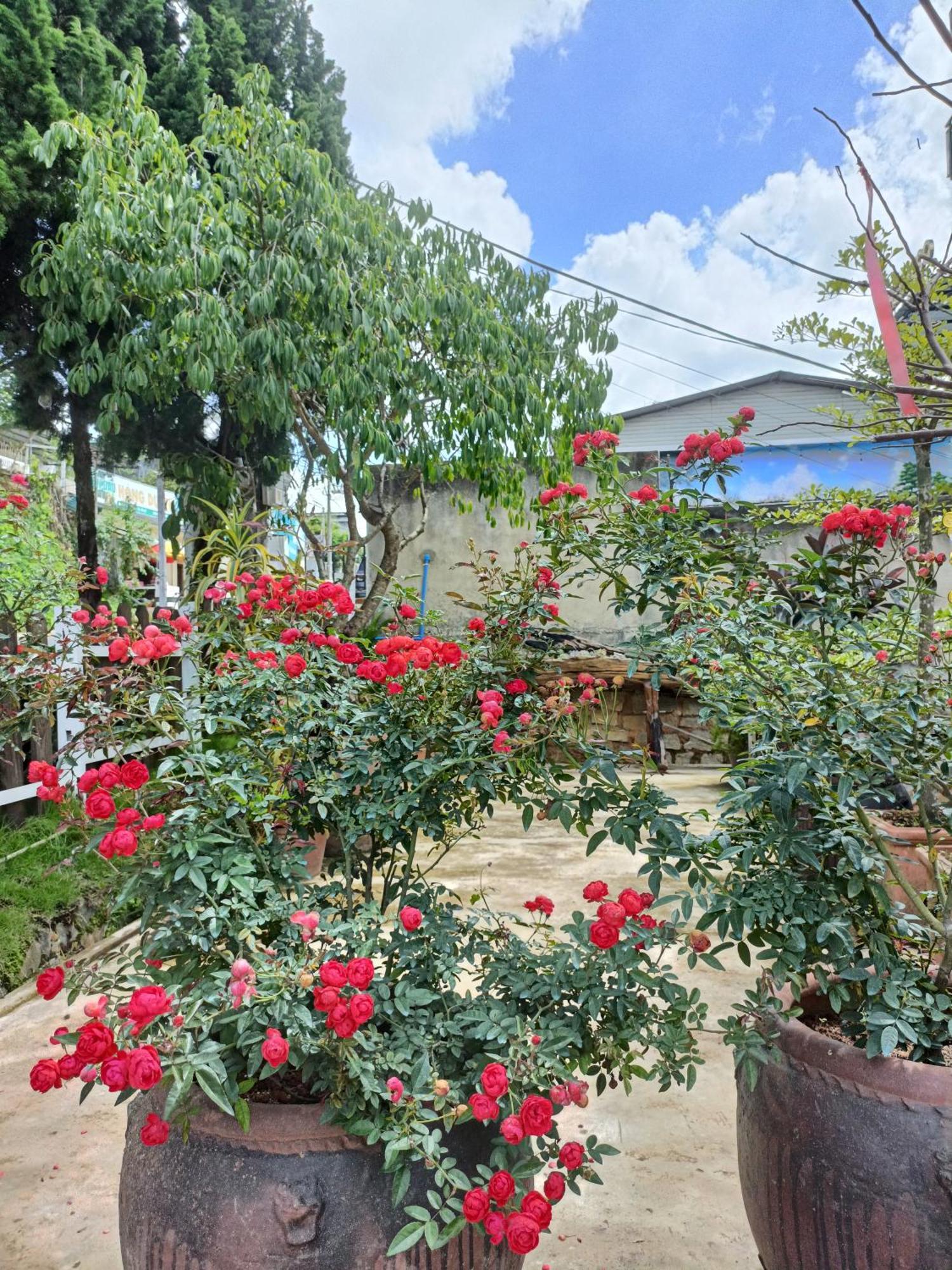 Lalaland Homestay Dalat Luaran gambar